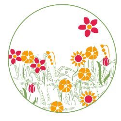 experience faire pousser des fleurs mellifères